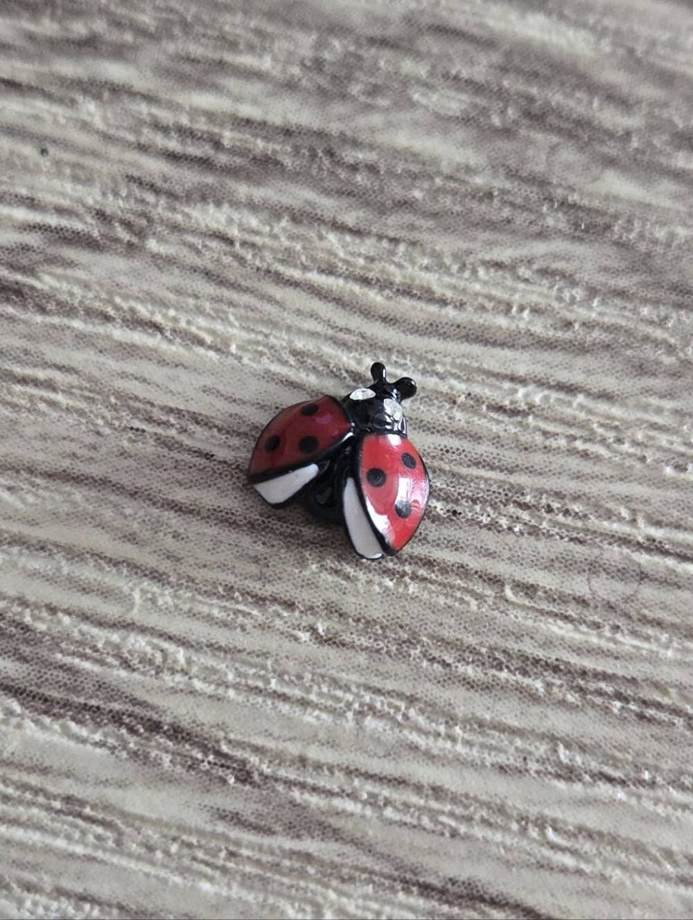 🦉Lady Bug Charm